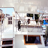 JoeZam > 42' Albin Custom Pilothouse Sundeck Trawler photo